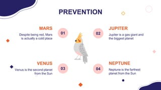 PREVENTION
MARS
Despite being red, Mars
is actually a cold place
VENUS
Venus is the second planet
from the Sun
JUPITER
Jupiter is a gas giant and
the biggest planet
NEPTUNE
Neptune is the farthest
planet from the Sun
01
03
02
04
 