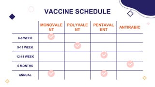 MONOVALE
NT
POLYVALE
NT
PENTAVAL
ENT
ANTIRABIC
6-8 WEEK
9-11 WEEK
12-14 WEEK
6 MONTHS
ANNUAL
VACCINE SCHEDULE
 