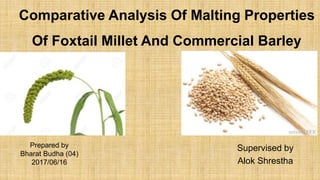 Comparative Analysis Of Malting Properties
Of Foxtail Millet And Commercial Barley
Prepared by
Bharat Budha (04)
2017/06/16
Supervised by
Alok Shrestha
 
