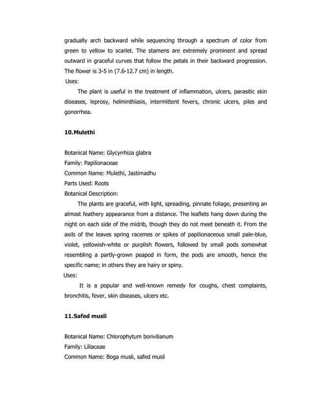 Herbal Garden proposal for Disha NGO