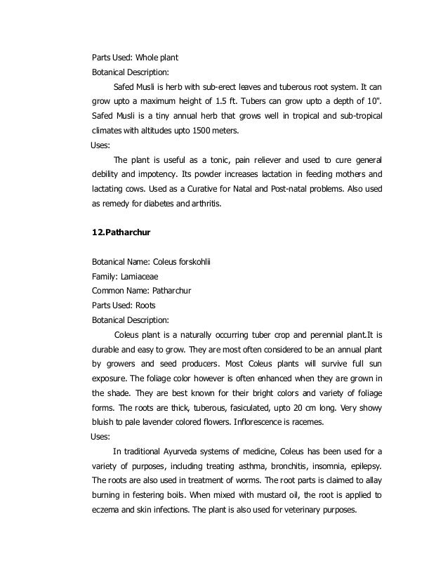 Letter Request For Tree Planting Letter Request For Tree Planting