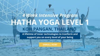 ENROLL NOW!
4 Week Intensive Program
HATHA YOGA LEVEL 1
A lifetime of inner technologies to tranform and
support you on every level of your being
KOH PANGAN, THAILAND
 