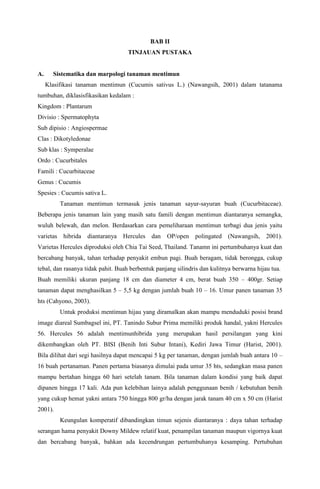 BAB II
TINJAUAN PUSTAKA
A. Sistematika dan marpologi tanaman mentimun
Klasifikasi tanaman mentimun (Cucumis sativus L.) (Nawangsih, 2001) dalam tatanama
tumbuhan, diklasisfikasikan kedalam :
Kingdom : Plantarum
Divisio : Spermatophyta
Sub dipisio : Angiospermae
Clas : Dikotyledonae
Sub klas : Symperalae
Ordo : Cucurbitales
Famili : Cucurbitaceae
Genus : Cucumis
Spesies : Cucumis sativa L.
Tanaman mentimun termasuk jenis tanaman sayur-sayuran buah (Cucurbitaceae).
Beberapa jenis tanaman lain yang masih satu famili dengan mentimun diantaranya semangka,
wuluh belewah, dan melon. Berdasarkan cara pemeliharaan mentimun terbagi dua jenis yaitu
varietas hibrida diantaranya Hercules dan OP/open polingated (Nawangsih, 2001).
Varietas Hercules diproduksi oleh Chia Tai Seed, Thailand. Tanamn ini pertumbuhanya kuat dan
bercabang banyak, tahan terhadap penyakit embun pagi. Buah beragam, tidak berongga, cukup
tebal, dan rasanya tidak pahit. Buah berbentuk panjang silindris dan kulitnya berwarna hijau tua.
Buah memiliki ukuran panjang 18 cm dan diameter 4 cm, berat buah 350 – 400gr. Setiap
tanaman dapat menghasilkan 5 – 5,5 kg dengan jumlah buah 10 – 16. Umur panen tanaman 35
hts (Cahyono, 2003).
Untuk produksi mentimun hijau yang diramalkan akan mampu menduduki posisi brand
image diareal Sumbagsel ini, PT. Tanindo Subur Prima memiliki produk handal, yakni Hercules
56. Hercules 56 adalah mentimunhibrida yang merupakan hasil persilangan yang kini
dikembangkan oleh PT. BISI (Benih Inti Subur Intani), Kediri Jawa Timur (Harist, 2001).
Bila dilihat dari segi hasilnya dapat mencapai 5 kg per tanaman, dengan jumlah buah antara 10 –
16 buah pertanaman. Panen pertama biasanya dimulai pada umur 35 hts, sedangkan masa panen
mampu bertahan hingga 60 hari setelah tanam. Bila tanaman dalam kondisi yang baik dapat
dipanen hingga 17 kali. Ada pun kelebihan lainya adalah penggunaan benih / kebutuhan benih
yang cukup hemat yakni antara 750 hingga 800 gr/ha dengan jarak tanam 40 cm x 50 cm (Harist
2001).
Keungulan komperatif dibandingkan timun sejenis diantaranya : daya tahan terhadap
serangan hama penyakit Downy Mildew relatif kuat, penampilan tanaman maupun vigornya kuat
dan bercabang banyak, bahkan ada kecendrungan pertumbuhanya kesamping. Pertubuhan
 
