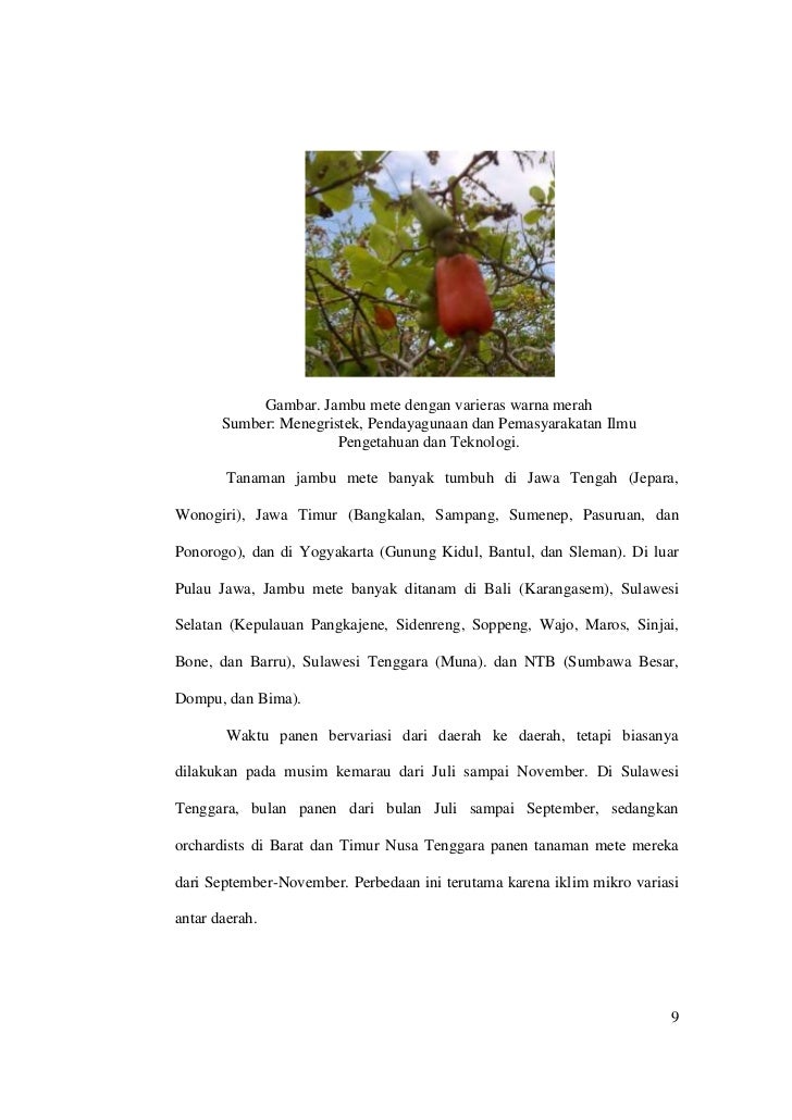 Proposal Penelitian 10712500
