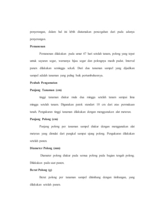 penyerangan, dalam hal ini lebih diutamakan pencegahan dari pada adanya 
penyerangan. 
Pemanenan 
Pemanenan dilakukan pada umur 47 hari setelah tanam, polong yang tepat 
untuk sayuran segar, warnanya hijau segar dan polongnya masih padat. Interval 
panen dilakukan seminggu sekali. Dari dua tanaman sampel yang dijadikan 
sampel adalah tanaman yang paling baik pertumbuhannya. 
Peubah Pengamatan 
Panjang Tanaman (cm) 
tinggi tanaman diukur mula dua minggu setelah tanam sampai lima 
minggu setelah tanam. Digunakan patok standart 10 cm dari atas permukaan 
tanah. Pengukuran tinggi tanaman dilakukan dengan menggunakan alat meteran. 
Panjang Polong (cm) 
Panjang polong per tanaman sampel diukur dengan menggunakan alat 
meteran yang dimulai dari pangkal sampai ujung polong. Pengukuran dilakukan 
setelah panen. 
Diameter Polong (mm) 
Diamater polong diukur pada semua polong pada bagian tengah polong. 
Dilakukan pada saat panen. 
Berat Polong (g) 
Berat polong per tanaman sampel ditimbang dengan timbangan, yang 
dilakukan setelah panen. 
 