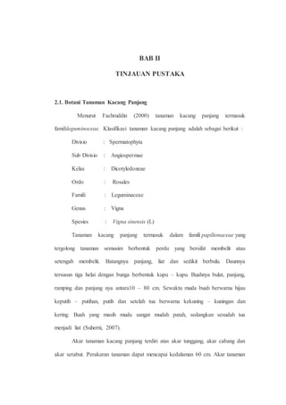 BAB II 
TINJAUAN PUSTAKA 
2.1. Botani Tanaman Kacang Panjang 
Menurut Fachruddin (2000) tanaman kacang panjang termasuk 
familileguminoceae. Klasifikasi tanaman kacang panjang adalah sebagai berikut : 
Divisio : Spermatophyta 
Sub Divisio : Angiospermae 
Kelas : Dicotyledoneae 
Ordo : Rosales 
Famili : Leguminaceae 
Genus : Vigna 
Spesies : Vigna sinensis (L) 
Tanaman kacang panjang termasuk dalam famili papilionaceae yang 
tergolong tanaman semusim berbentuk perdu yang bersifat membelit atau 
setengah membelit. Batangnya panjang, liat dan sedikit berbulu. Daunnya 
tersusun tiga helai dengan bunga berbentuk kupu – kupu. Buahnya bulat, panjang, 
ramping dan panjang nya antara10 – 80 cm. Sewaktu muda buah berwarna hijau 
keputih – putihan, putih dan setelah tua berwarna kekuning – kuningan dan 
kering. Buah yang masih muda sangat mudah patah, sedangkan sesudah tua 
menjadi liat (Suherni, 2007). 
Akar tanaman kacang panjang terdiri atas akar tunggang, akar cabang dan 
akar serabut. Perakaran tanaman dapat mencapai kedalaman 60 cm. Akar tanaman 
 