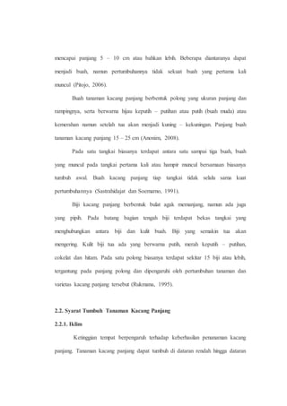 mencapai panjang 5 – 10 cm atau bahkan lebih. Beberapa diantaranya dapat 
menjadi buah, namun pertumbuhannya tidak sekuat buah yang pertama kali 
muncul (Pitojo, 2006). 
Buah tanaman kacang panjang berbentuk polong yang ukuran panjang dan 
rampingnya, serta berwarna hijau keputih – putihan atau putih (buah muda) atau 
kemerahan namun setelah tua akan menjadi kuning – kekuningan. Panjang buah 
tanaman kacang panjang 15 – 25 cm (Anonim, 2008). 
Pada satu tangkai biasanya terdapat antara satu sampai tiga buah, buah 
yang muncul pada tangkai pertama kali atau hampir muncul bersamaan biasanya 
tumbuh awal. Buah kacang panjang tiap tangkai tidak selalu sama kuat 
pertumbuhannya (Sastrahidajat dan Soemarno, 1991). 
Biji kacang panjang berbentuk bulat agak memanjang, namun ada juga 
yang pipih. Pada batang bagian tengah biji terdapat bekas tangkai yang 
menghubungkan antara biji dan kulit buah. Biji yang semakin tua akan 
mengering. Kulit biji tua ada yang berwarna putih, merah keputih – putihan, 
cokelat dan hitam. Pada satu polong biasanya terdapat sekitar 15 biji atau lebih, 
tergantung pada panjang polong dan dipengaruhi oleh pertumbuhan tanaman dan 
varietas kacang panjang tersebut (Rukmana, 1995). 
2.2. Syarat Tumbuh Tanaman Kacang Panjang 
2.2.1. Iklim 
Ketinggian tempat berpengaruh terhadap keberhasilan penanaman kacang 
panjang. Tanaman kacang panjang dapat tumbuh di dataran rendah hingga dataran 
 