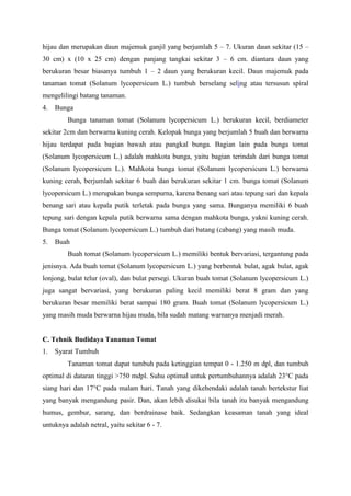 hijau dan merupakan daun majemuk ganjil yang berjumlah 5 – 7. Ukuran daun sekitar (15 –
30 cm) x (10 x 25 cm) dengan panjang tangkai sekitar 3 – 6 cm. diantara daun yang
berukuran besar biasanya tumbuh 1 – 2 daun yang berukuran kecil. Daun majemuk pada
tanaman tomat (Solanum lycopersicum L.) tumbuh berselang seling atau tersusun spiral
mengelilingi batang tanaman.
4. Bunga
Bunga tanaman tomat (Solanum lycopersicum L.) berukuran kecil, berdiameter
sekitar 2cm dan berwarna kuning cerah. Kelopak bunga yang berjumlah 5 buah dan berwarna
hijau terdapat pada bagian bawah atau pangkal bunga. Bagian lain pada bunga tomat
(Solanum lycopersicum L.) adalah mahkota bunga, yaitu bagian terindah dari bunga tomat
(Solanum lycopersicum L.). Mahkota bunga tomat (Solanum lycopersicum L.) berwarna
kuning cerah, berjumlah sekitar 6 buah dan berukuran sekitar 1 cm. bunga tomat (Solanum
lycopersicum L.) merupakan bunga sempurna, karena benang sari atau tepung sari dan kepala
benang sari atau kepala putik terletak pada bunga yang sama. Bunganya memiliki 6 buah
tepung sari dengan kepala putik berwarna sama dengan mahkota bunga, yakni kuning cerah.
Bunga tomat (Solanum lycopersicum L.) tumbuh dari batang (cabang) yang masih muda.
5. Buah
Buah tomat (Solanum lycopersicum L.) memiliki bentuk bervariasi, tergantung pada
jenisnya. Ada buah tomat (Solanum lycopersicum L.) yang berbentuk bulat, agak bulat, agak
lonjong, bulat telur (oval), dan bulat persegi. Ukuran buah tomat (Solanum lycopersicum L.)
juga sangat bervariasi, yang berukuran paling kecil memiliki berat 8 gram dan yang
berukuran besar memiliki berat sampai 180 gram. Buah tomat (Solanum lycopersicum L.)
yang masih muda berwarna hijau muda, bila sudah matang warnanya menjadi merah.
C. Tehnik Budidaya Tanaman Tomat
1. Syarat Tumbuh
Tanaman tomat dapat tumbuh pada ketinggian tempat 0 - 1.250 m dpl, dan tumbuh
optimal di dataran tinggi >750 mdpl. Suhu optimal untuk pertumbuhannya adalah 23°C pada
siang hari dan 17°C pada malam hari. Tanah yang dikehendaki adalah tanah bertekstur liat
yang banyak mengandung pasir. Dan, akan lebih disukai bila tanah itu banyak mengandung
humus, gembur, sarang, dan berdrainase baik. Sedangkan keasaman tanah yang ideal
untuknya adalah netral, yaitu sekitar 6 - 7.
 