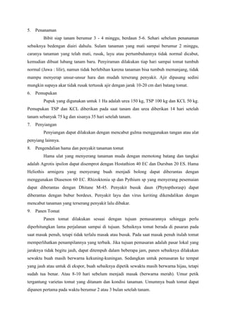 5. Penanaman
Bibit siap tanam berumur 3 - 4 minggu, berdaun 5-6. Sehari sebelum penanaman
sebaiknya bedengan diairi dahulu. Sulam tanaman yang mati sampai berumur 2 minggu,
caranya tanaman yang telah mati, rusak, layu atau pertumbuhannya tidak normal dicabut,
kemudian dibuat lubang tanam baru. Penyiraman dilakukan tiap hari sampai tomat tumbuh
normal (Jawa : lilir), namun tidak berlebihan karena tanaman bisa tumbuh memanjang, tidak
mampu menyerap unsur-unsur hara dan mudah terserang penyakit. Ajir dipasang sedini
mungkin supaya akar tidak rusak tertusuk ajir dengan jarak 10-20 cm dari batang tomat.
6. Pemupukan
Pupuk yang digunakan untuk 1 Ha adalah urea 150 kg, TSP 100 kg dan KCL 50 kg.
Pemupukan TSP dan KCL diberikan pada saat tanam dan urea diberikan 14 hari setelah
tanam sebanyak 75 kg dan sisanya 35 hari setelah tanam.
7. Penyiangan
Penyiangan dapat dilakukan dengan mencabut gulma menggunakan tangan atau alat
penyiang lainnya.
8. Pengendalian hama dan penyakit tanaman tomat
Hama ulat yang menyerang tanaman muda dengan memotong batang dan tangkai
adalah Agrotis ipsilon dapat disemprot dengan Hostathion 40 EC dan Dursban 20 ES. Hama
Heliothis armigera yang menyerang buah menjadi bolong dapat diberantas dengan
menggunakan Diasenon 60 EC. Rhizoktonia sp dan Pythium sp yang menyerang pesemaian
dapat diberantas dengan Dhitane M-45. Penyakit busuk daun (Phytopthorasp) dapat
diberantas dengan bubur bordeux. Penyakit layu dan virus keriting dikendalikan dengan
mencabut tanaman yang terserang penyakit lalu dibakar.
9. Panen Tomat
Panen tomat dilakukan sesuai dengan tujuan pemasarannya sehingga perlu
diperhitungkan lama perjalanan sampai di tujuan. Sebaiknya tomat berada di pasaran pada
saat masak penuh, tetapi tidak terlalu masak atau busuk. Pada saat masak penuh itulah tomat
memperlihatkan penampilannya yang terbaik. Jika tujuan pemasaran adalah pasar lokal yang
jaraknya tidak begitu jauh, dapat ditempuh dalam beberapa jam, panen sebaiknya dilakukan
sewaktu buah masih berwarna kekuning-kuningan. Sedangkan untuk pemasaran ke tempat
yang jauh atau untuk di ekspor, buah sebaiknya dipetik sewaktu masih berwarna hijau, tetapi
sudah tua benar. Atau 8-10 hari sebelum menjadi masak (berwarna merah). Umur petik
tergantung varietas tomat yang ditanam dan kondisi tanaman. Umumnya buah tomat dapat
dipanen pertama pada waktu berumur 2 atau 3 bulan setelah tanam.
 