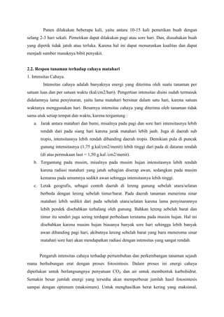 Panen dilakukan beberapa kali, yaitu antara 10-15 kali pemetikan buah dengan
selang 2-3 hari sekali. Pemetikan dapat dilakukan pagi atau sore hari. Dan, diusahakan buah
yang dipetik tidak jatuh atau terluka. Karena hal ini dapat menurunkan kualitas dan dapat
menjadi sumber masuknya bibit penyakit.
2.2. Respon tanaman terhadap cahaya matahari
1. Intensitas Cahaya.
Intensitas cahaya adalah banyaknya energi yang diterima oleh suatu tanaman per
satuan luas dan per satuan waktu (kal/cm2/hari). Pengertian intensitas disini sudah termasuk
didalamnya lama penyinaran, yaitu lama matahari bersinar dalam satu hari, karena satuan
waktunya menggunakan hari. Besarnya intensitas cahaya yang diterima oleh tanaman tidak
sama utuk setiap tempat dan waktu, karena tergantung :
a. Jarak antara matahari dan bumi, misalnya pada pagi dan sore hari intensitasnya lebih
rendah dari pada siang hari karena jarak matahari lebih jauh. Juga di daerah sub
tropis, intensitasnya lebih rendah dibanding daerah tropis. Demikian pula di puncak
gunung intensitasnya (1,75 g.kal/cm2/menit) lebih tinggi dari pada di dataran rendah
(di atas permukaan laut = 1,50 g.kal /cm2/menit).
b. Tergantung pada musim, misalnya pada musim hujan intensitasnya lebih rendah
karena radiasi matahari yang jatuh sebagian diserap awan, sedangkan pada musim
kemarau pada umumnya sedikit awan sehingga intensitasnya lebih tinggi.
c. Letak geografis, sebagai contoh daerah di lereng gunung sebelah utara/selatan
berbeda dengan lereng sebelah timur/barat. Pada daerah tanaman menerima sinar
matahari lebih sedikit dari pada sebelah utara/selatan karena lama penyinarannya
lebih pendek disebabkan terhalang oleh gunung. Bahkan lereng sebelah barat dan
timur itu sendiri juga sering terdapat perbedaan terutama pada musim hujan. Hal ini
disebabkan karena musim hujan biasanya banyak sore hari sehingga lebih banyak
awan dibanding pagi hari, akibatnya lereng sebelah barat yang baru meneroma sinar
matahari sore hari akan mendapatkan radiasi dengan intensitas yang sangat rendah.
Pengaruh intensitas cahaya terhadap pertumbuhan dan perkembangan tanaman sejauh
mana berhubungan erat dengan proses fotosintesis. Dalam proses ini energi cahaya
diperlukan untuk berlangsungnya penyatuan CO₂ dan air untuk membentuk karbohidrat.
Semakin besar jumlah energi yang tersedia akan memperbesar jumlah hasil fotosintesis
sampai dengan optimum (maksimum). Untuk menghasilkan berat kering yang maksimal,
 