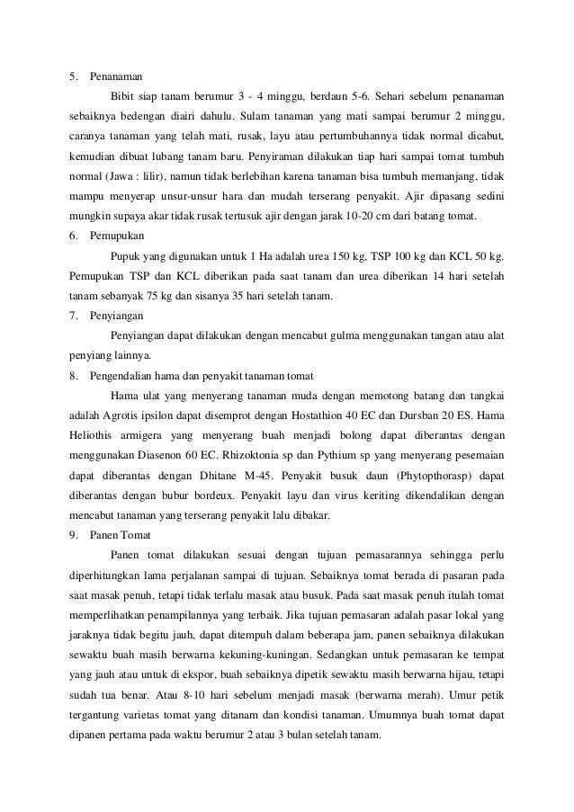 Proposal penelitian tanaman tomat