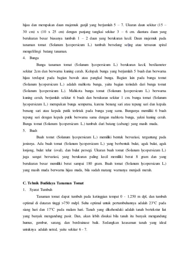 Proposal penelitian tanaman tomat KABUPATEN MUNA