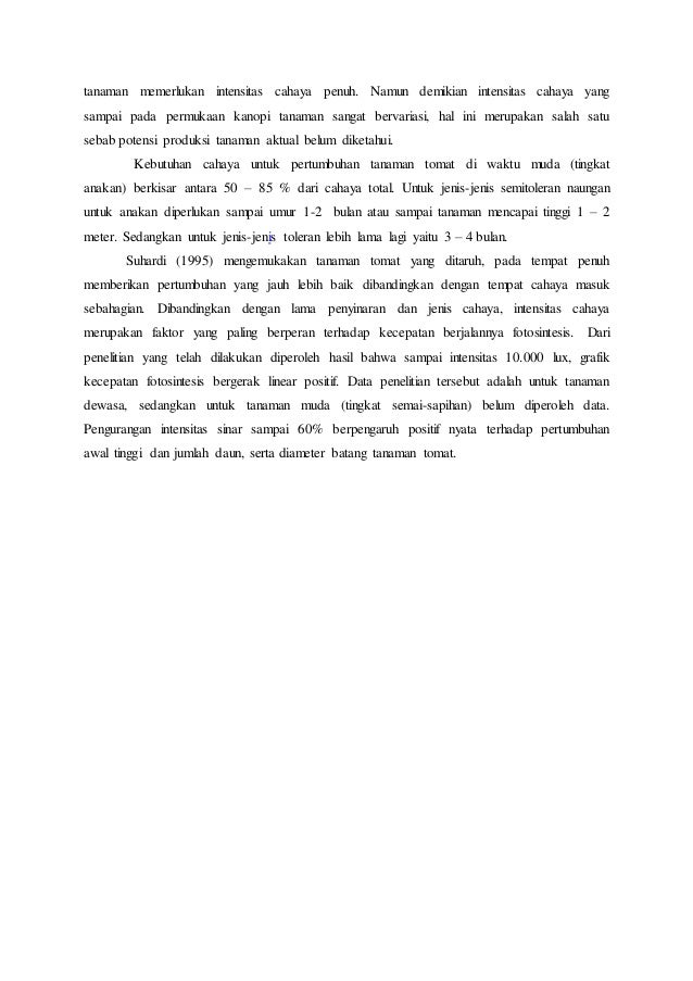 Proposal penelitian tanaman tomat KABUPATEN MUNA