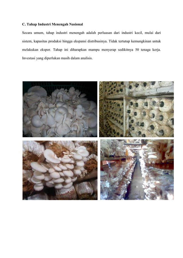 Proposal pengembangan usaha budidaya jamur tiram PDF