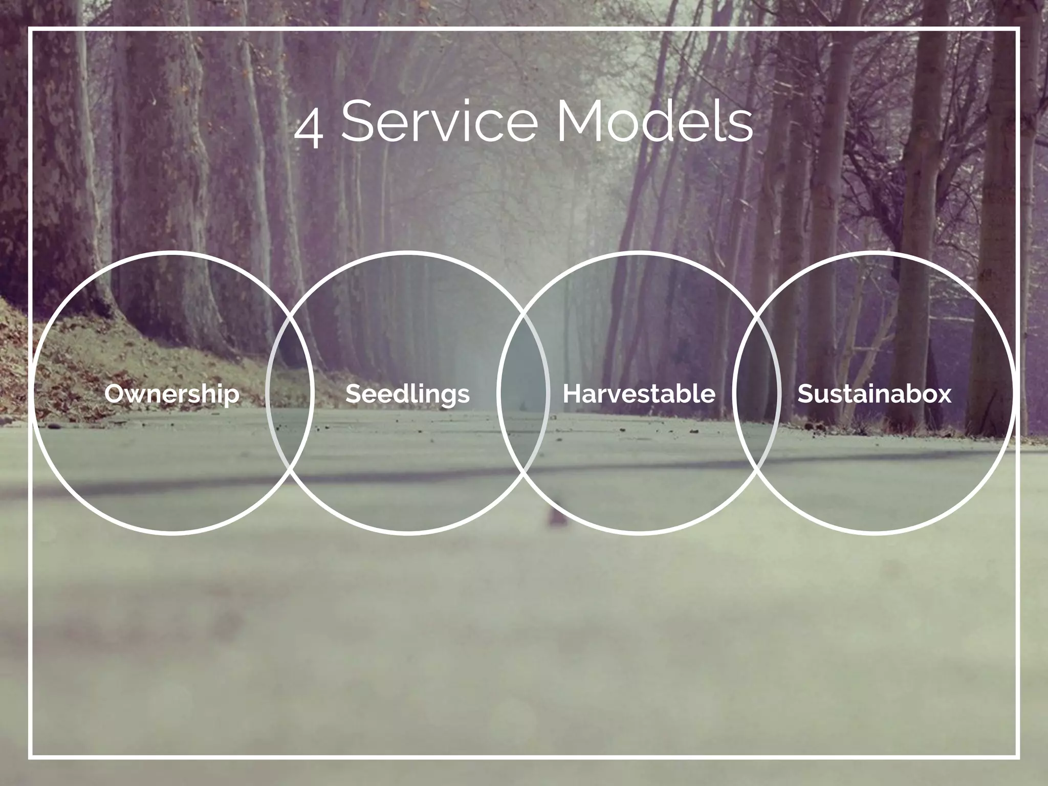 4 Service Models
SeedlingsOwnership Harvestable Sustainabox
 