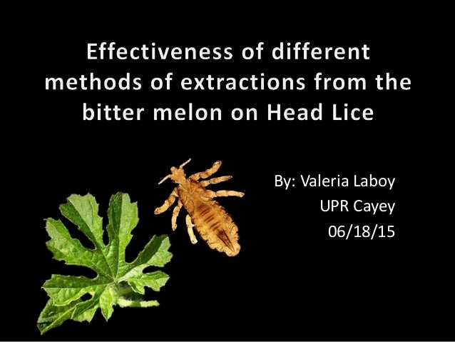 What to mix with tea tree oil for lice picture