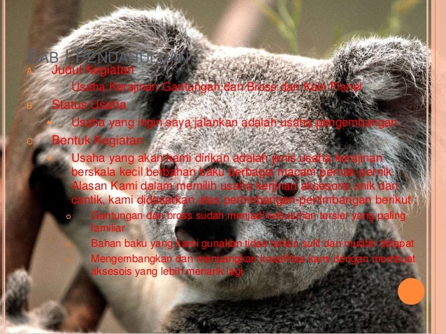 Contoh Proposal Usaha