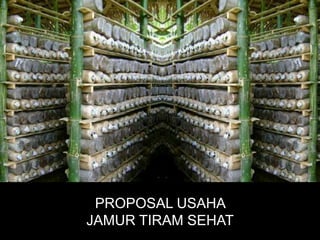 PROPOSAL USAHA
JAMUR TIRAM SEHAT
 