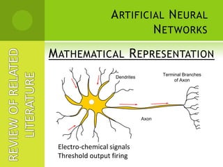 General Introduction
