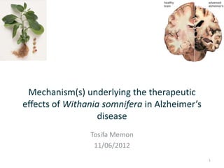 Mechanism(s) underlying the therapeutic
effects of Withania somnifera in Alzheimer’s
                   disease
                Tosifa Memon
                 11/06/2012
                                               1
 