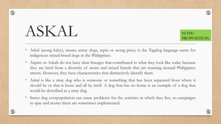 Proposed Rescue Askal Program.pptx