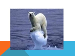 Proposito comunicativo