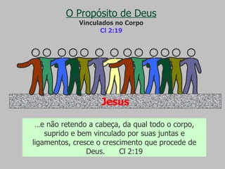 O Propósito de Deus Vinculados no Corpo Cl 2:19 ... e não retendo a cabeça, da qual todo o corpo, suprido e bem vinculado por suas juntas e ligamentos, cresce o crescimento que procede de Deus.  Cl 2:19 Jesus 