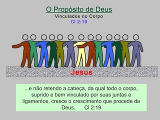 Jesus
O Propósito de Deus
Vinculados no Corpo
Cl 2:19
...e não retendo a cabeça, da qual todo o corpo,
suprido e bem vinculado por suas juntas e
ligamentos, cresce o crescimento que procede de
Deus. Cl 2:19
 