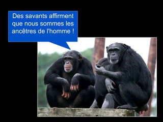 Propos Simiesques