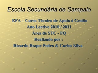 Escola Secundária de Sampaio
 EFA – Curso Técnico de Apoio à Gestão
        Ano Lectivo 2010 / 2011
          Área de STC - FQ
           Realizado por :
 Ricardo Roque Pedro & Carlos Silva.
 