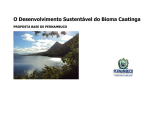 O Desenvolvimento Sustentável do Bioma Caatinga
PROPOSTA BASE DE PERNAMBUCO
 