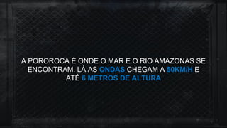 A POROROCA É ONDE O MAR E O RIO AMAZONAS SE
ENCONTRAM. LÁ AS ONDAS CHEGAM A 50KM/H E
ATÉ 6 METROS DE ALTURA
 