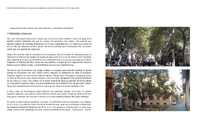 Proposta De Reforma De La Placa Guillem Moragues