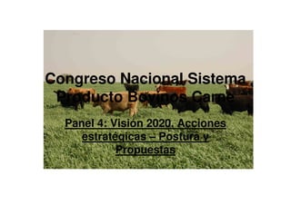 Congreso Nacional Sistema
 Producto Bovinos Carne
  Panel 4: Visión 2020, Acciones
     estratégicas – Postura y
            Propuestas
 