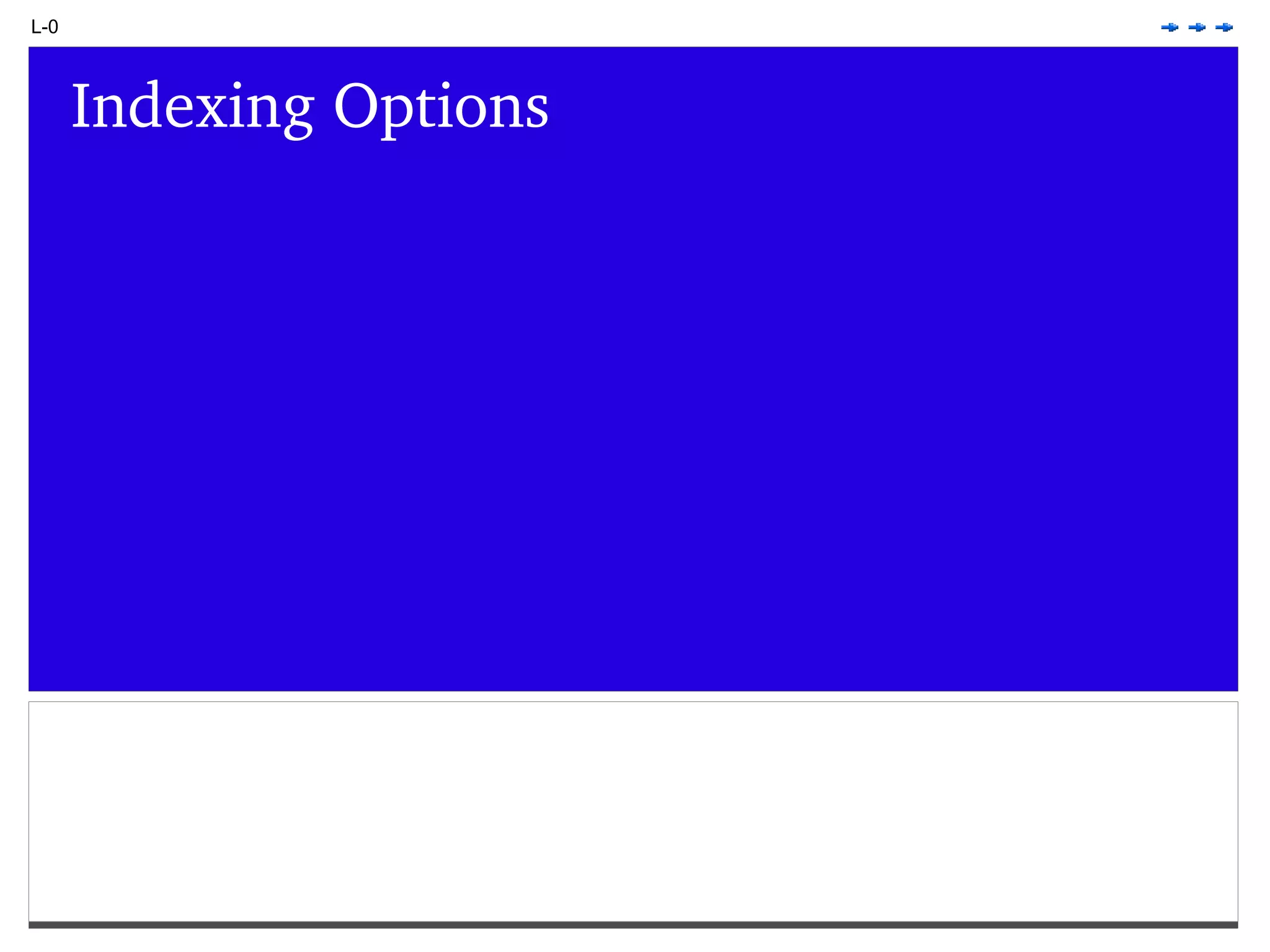 L-0 Indexing Options 