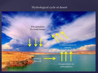 Hydrological cycle of desert
 