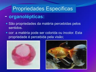 Propriedades Especificas
- organolépticas:
 São propriedades da matéria percebidas pelos
  sentidos.
 cor: a matéria pode ser colorida ou incolor. Esta
  propriedade é percebida pela visão;
 
