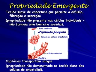Propriedade Emergente

Tecido suave de cobertura que permite a difusão,
filtração e secreção
(propriedade não presente nas células individuais –
não formam uma barreira sozinha).
Célula endotelial

Propriedades Emergentes
Camada de células endoteliais

Célula endotelial
Capilária

Capilárias transportam sangue
(propriedade não demonstrada no tecido plano das
células do endotelial).

 