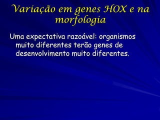 Variação em genes HOX e na
morfologia
Uma expectativa razoável: organismos
muito diferentes terão genes de
desenvolvimento muito diferentes.

 