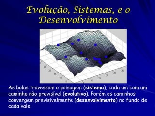 Evolução, Sistemas, e o
Desenvolvimento

As bolas travessam o paisagem (sistema), cada um com um
caminho não previsível (evolutivo). Porém os caminhos
convergem previsivelmente (desenvolvimento) no fundo de
cada vale.

 