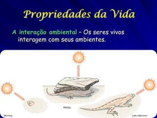 Propriedades da Vida
A interação ambiental – Os seres vivos
interagem com seus ambientes.

 