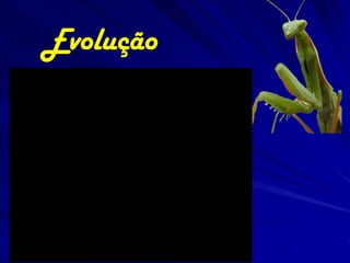 Evolução

 