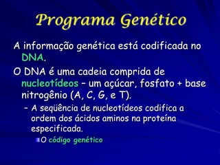 Programa Genético
A informação genética está codificada no
DNA.
O DNA é uma cadeia comprida de
nucleotídeos – um açúcar, fosfato + base
nitrogênio (A, C, G, e T).
– A seqüência de nucleotídeos codifica a
ordem dos ácidos aminos na proteína
especificada.
O código genético

 