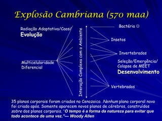 Radiação Adaptativa/Caos/

Evolução

Multicelularidade
Diferencial

Interação Complexa com o Ambiente

Explosão Cambriana (570 maa)
Bactéria 
Insetos
Invertebrados
Seleção/Emergência/
Colapse de MEET

Desenvolvimento
Vertebrados

35 planos corporais foram criados no Cenozoico. Nenhum plano corporal novo
foi criado após. Somente aparecem novos planos de cérebros, construídos
sobre dos planos corporais. “O tempo é a forma da natureza para evitar que
todo acontece de uma vez.”— Woody Allen

 