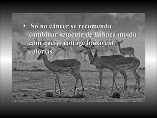 Só no câncer se recomenda combinar semente de linhaça moída com queijo cottage baixo em calorias.   