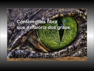Contém mais fibra que a maioria dos grãos.  