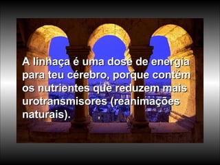 A linhaça é uma dose de energia para teu cérebro, porque contém os nutrientes que reduzem mais urotransmisores (reanimações naturais).   
