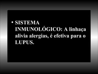 SISTEMA INMUNOLÓGICO: A linhaça alivia alergias, é efetiva para o LUPUS. 