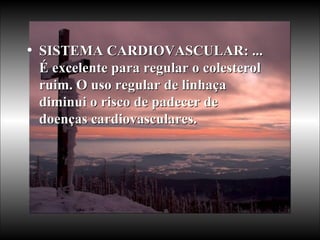 SISTEMA CARDIOVASCULAR: ... É excelente para regular o colesterol ruim. O uso regular de linhaça diminui o risco de padecer de doenças cardiovasculares.  