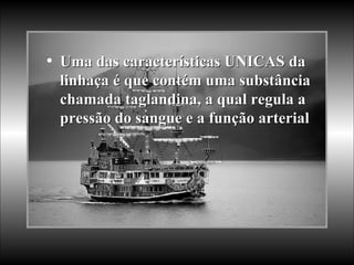 Uma das características UNICAS da linhaça é que contém uma substância chamada taglandina, a qual regula a pressão do sangue e a função arterial 